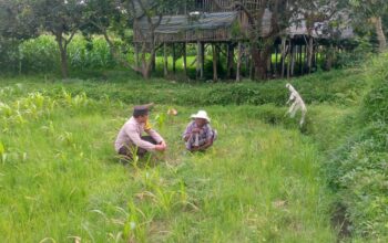Ketahanan Pangan Desa: Bhabinkamtibmas Jagaraga Edukasi Warga Dasan Geres Pande Manfaatkan Lahan Produktif