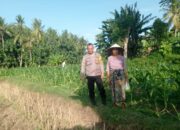 Kunjungan Humanis Bhabinkamtibmas di Kuranji, Pekarangan Jadi Sumber Pangan