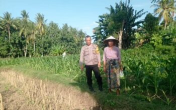 Kunjungan Humanis Bhabinkamtibmas di Kuranji, Pekarangan Jadi Sumber Pangan