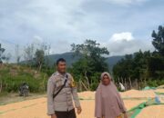 BHABINKAMTIBMAS DESA ADU DUKUNG PROGRAM KETAHANAN PANGAN NASIONAL