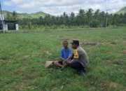Polisi Desa Jadi Penggerak Ekonomi Warga Lewat Program Tanam Jagung