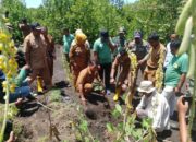 Bupati Dompu Pimpin Penanaman Mangrove di Pantai Nanga Na’e, Polri dan Masyarakat Siap Rawat Bersama