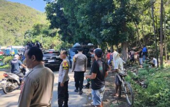 Semarak Karapan Kerbau Meriahkan Festival Budaya Pesona Tamekan 2025 di Sumbawa Barat