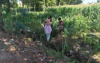 Patroli Ketahanan Pangan: Sinergi Polres Lobar dan Petani Jagung