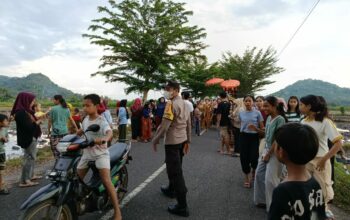 Nyongkolan Suku Sasak di Kuripan: Polisi Urai Kepadatan Lalin