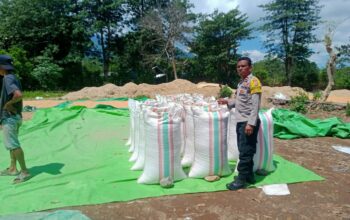 BHABINKAMTIBMAS DESA WOKO PANTAU AKTIVITAS WARGA BINAAN SAAT MENJUAL HASIL PANEN JAGUNG