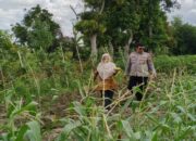 Polisi Ajak Warga Lombok Barat Wujudkan Desa Mandiri Pangan