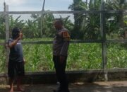 Dukung Ketahanan Pangan, Polri Ajak Warga Labuapi Tanam di Rumah