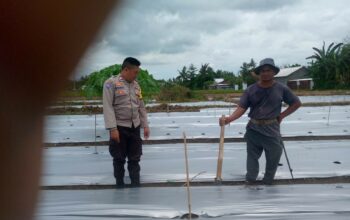 Bhabinkamtibmas Kuripan Sukses Dorong Warga Optimalkan Lahan Pangan