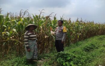 Bhabinkamtibmas dan Kades Sinergi Kuatkan Ketahanan Pangan Desa