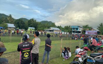 Kearifan Lokal Terjaga, Karapan Ayam di Sapugara Bree Berlangsung Aman