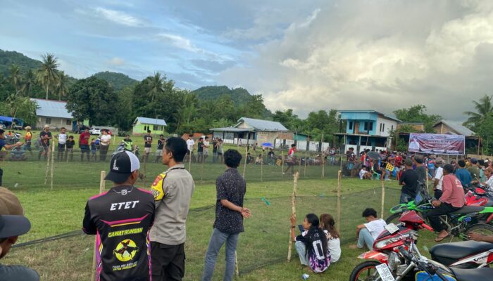 Kearifan Lokal Terjaga, Karapan Ayam di Sapugara Bree Berlangsung Aman