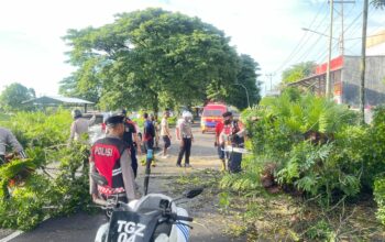 Polres Loteng Evakuasi Pohon Tumbang di Praya.