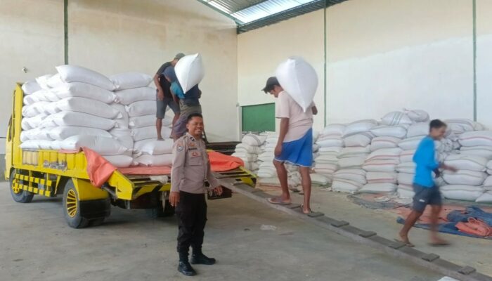 Jagung Petani Lombok Barat Lolos Uji Kualitas BULOG: Kadar Air Ideal