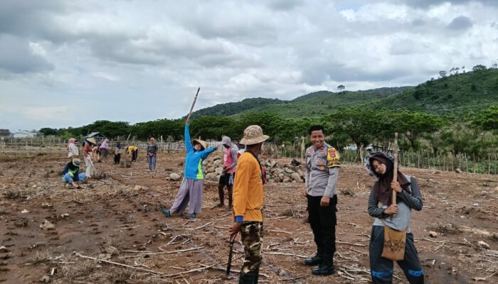 BHABINKAMTIBMAS DESA HU’U LAKUKAN PEMANTAUAN LAHAN JAGUNG, DUKUNG PROGRAM KETAHANAN PANGAN NASIONAL