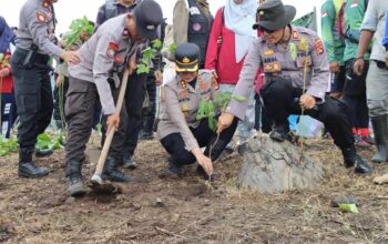 Safari Sumbawa Menanam: Forkopimda dan Warga Bersatu Hijaukan Hutan Lindung Bendungan Beringin Sila