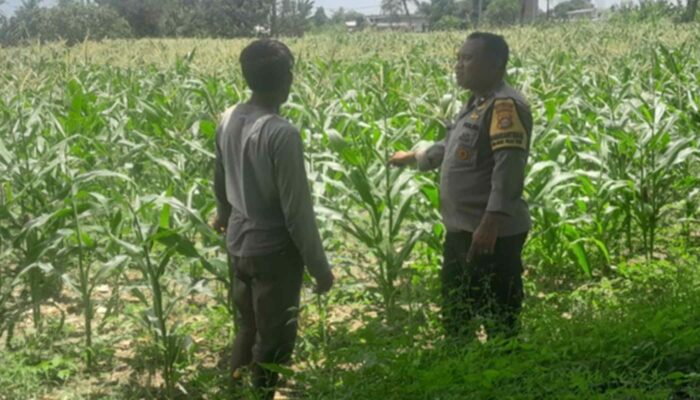 Bhabinkamtibmas Bagik Polak Barat Kawal Ketahanan Pangan