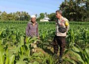 Polsek Batulayar Dorong Swasembada Pangan di Desa Sandik