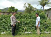 Bhabinkamtibmas Desa Tatar Dampingi Warga Kelola Pekarangan Pangan Bergizi