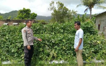 Bhabinkamtibmas Desa Tatar Dampingi Warga Kelola Pekarangan Pangan Bergizi