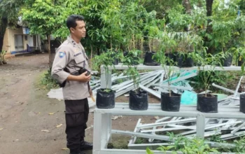 Transformasi Lahan Terbengkalai Jadi Sumber Pangan di Desa Bengkel