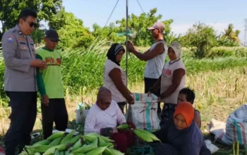 Dukung Program Pemerintah, Polri Dorong Swasembada Pangan di NTB