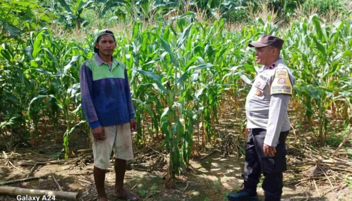 Sinergi Bhabinkamtibmas dan Petani Gerung Wujudkan Swasembada Pangan