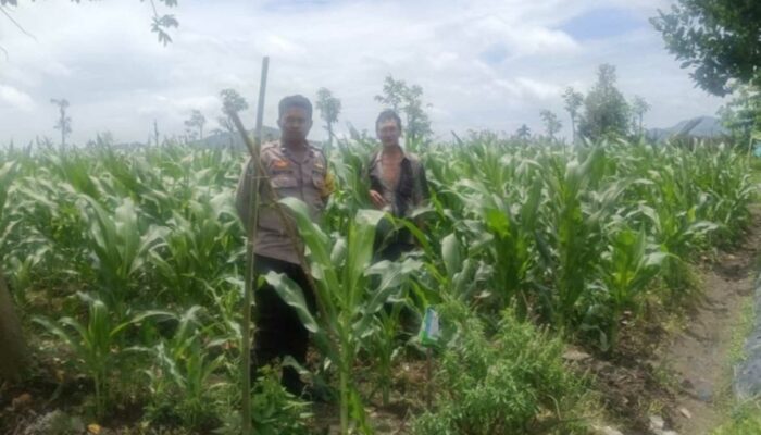 Polsek Gerung Ajak Warga Beleke Optimalkan Lahan Tidur demi Swasembada Pangan