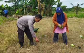 Sinergi Polsek Labuapi dan Warga Wujudkan Desa Mandiri Pangan
