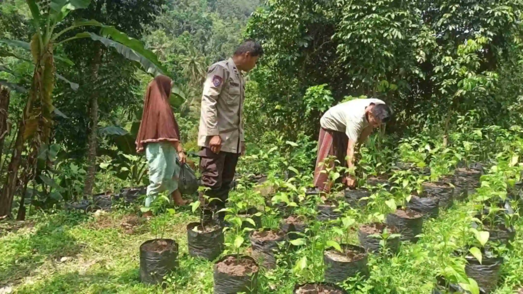 Bhabinkamtibmas Batulayar Edukasi Warga Tanam Sayur di Polibag