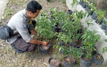 Polisi Dampingi Warga Desa Bengkel Tanam Sayur di Rumah