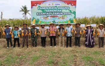 Wujudkan Swasembada Pangan, Kapolres Sumbawa Gelar Panen Raya Jagung Serentak Kuartal I Tahun 2026