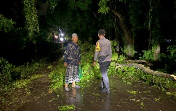 Bhabinkamtibmas Desa Pasir Putih Cek Rumah Warga Terdampak Pohon Tumbang Akibat Cuaca Ekstrem