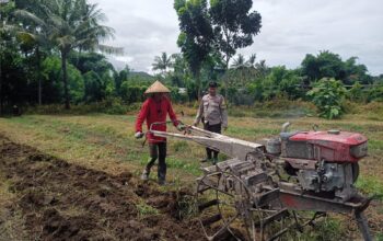 Dukung Ketahanan Pangan, Bhabinkamtibmas Desa Kalabeso Sambangi Petani di Sawa Batu Swoan