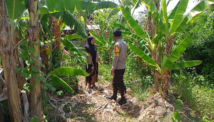 Bhabinkamtibmas Desa Pamanto Motivasi Warga Wujudkan Ketahanan Pangan Mandiri