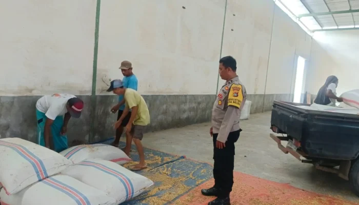 Polsek Gerung Pantau Stok Jagung di Desa Beleka