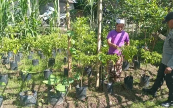 Sinergi Polri dan Warga Sidemen Lauq Budidaya Hortikultura