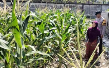 Polri Dorong Ketahanan Pangan di Labuapi Lombok Barat