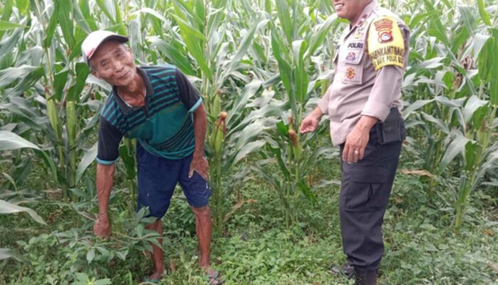 Polres Lombok Barat Kawal Program Swasembada Pangan di Labuapi