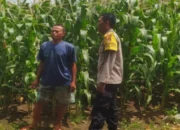 Dukung Swasembada Pangan, Polisi Dampingi Petani di Lombok Barat