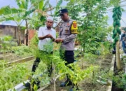 Inovasi Pertanian Terpadu Warga Desa Bajur Dukung Program Presiden