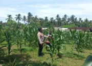Upaya Polres Lombok Barat Optimalkan Lahan Produktif