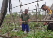 Strategi Polsek Labuapi Perkuat Stok Pangan di Lombok Barat