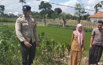 Bhabinkamtibmas Labuapi Sulap Lahan Tidur Jadi Area Produktif