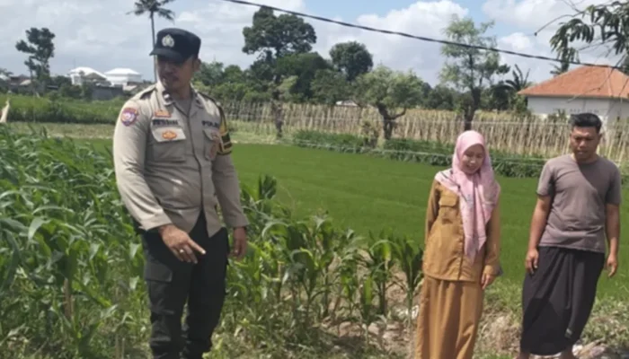 Bhabinkamtibmas Labuapi Sulap Lahan Tidur Jadi Area Produktif