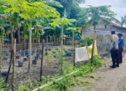 Dukung Program Presiden, Polsek Labuapi Masifkan Ketahanan Pangan