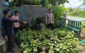 Bhabinkamtibmas Labuapi Dorong Warga Kelola Bibit di Lahan Terbatas