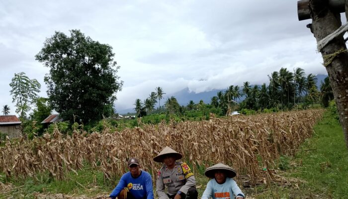 Dukung Program Ketahanan Pangan, Bhabinkamtibmas  Desa Apitaik Silaturrahmi Dengan Petani