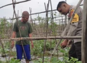 Polres Lobar Perkuat Ketahanan Pangan di Desa Kuranji Dalang