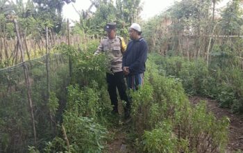 Polri Perkuat Ketahanan Pangan di Lombok Barat melalui Pendampingan Petani
